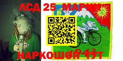 мяу мяу мука Новозыбков