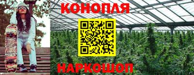 мяу мяу мука Новозыбков