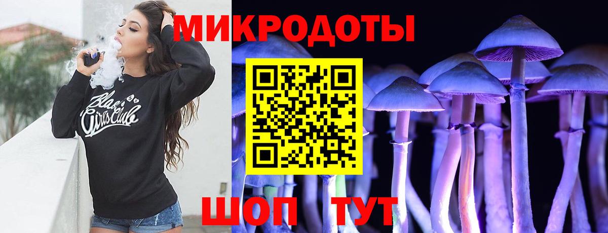 Псилоцибиновые грибы Psilocybine cubensis Сызрань